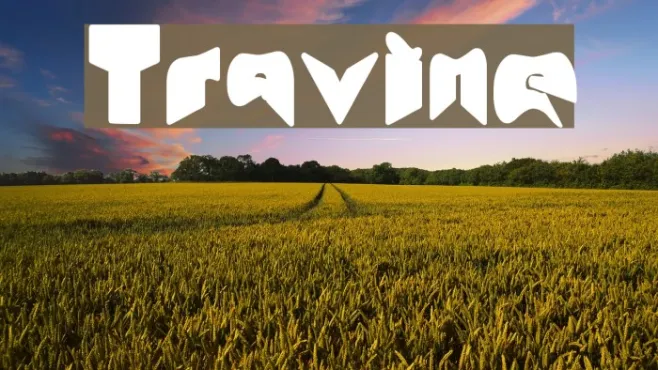 Travine Example 2