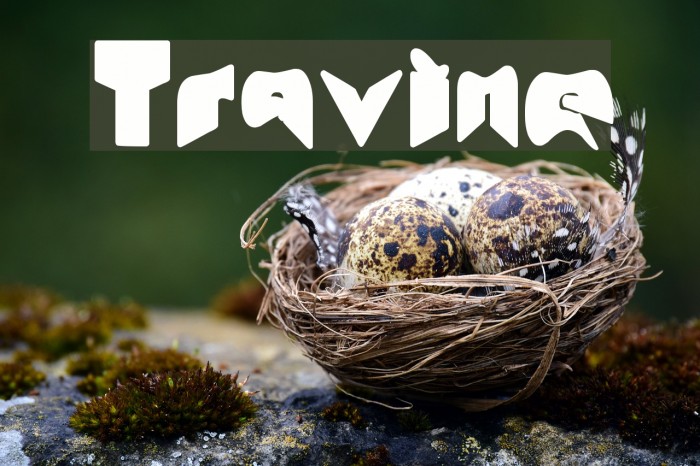 Travine Font examples