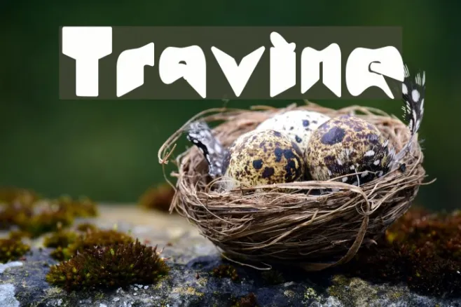 Travine Example 3
