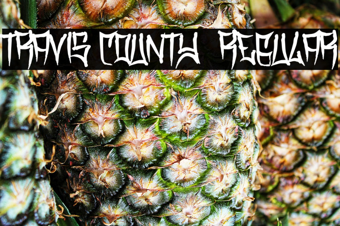 Travis County Regular Font examples