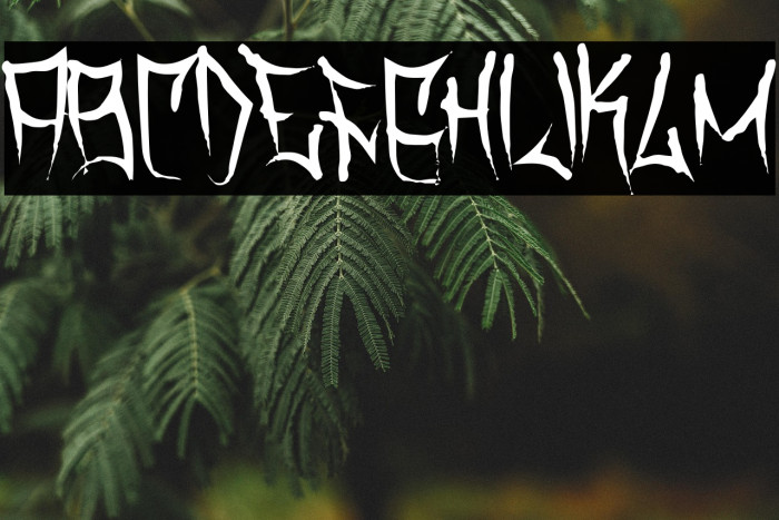 Travis County  Thin Example 1