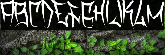 Travis County  Thin Example 2