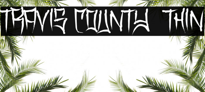 Travis County  Thin Example 1