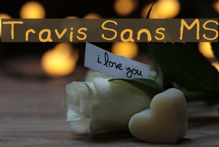Travis Sans MS Font examples