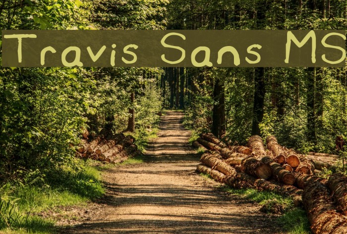 Travis Sans MS Font examples