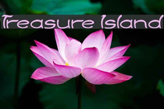Treasure Island Font examples