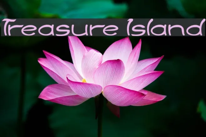 Treasure Island Example 3