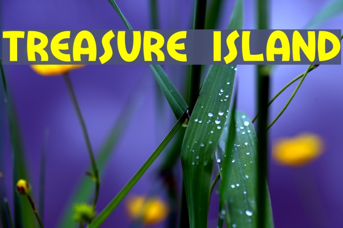 Treasure Island Font examples