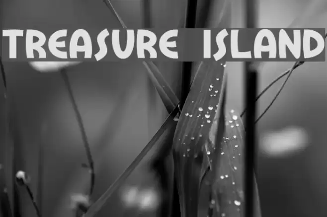 Treasure Island Polices examples