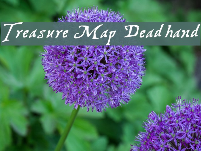 Treasure Map Deadhand Font examples