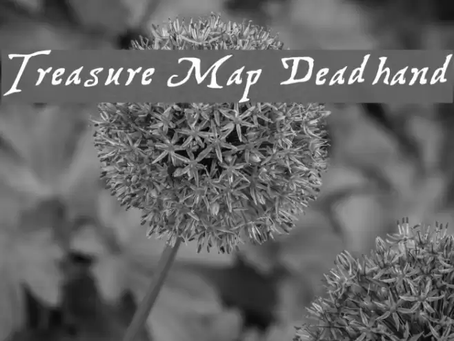 Treasure Map Deadhand フォント examples