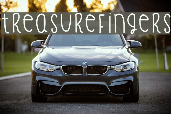 TreasureFingers Font examples