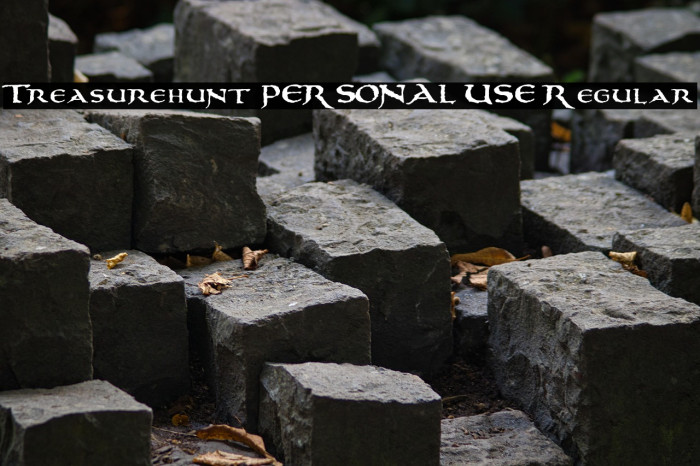 Treasurehunt PERSONAL USE Regular Example 2