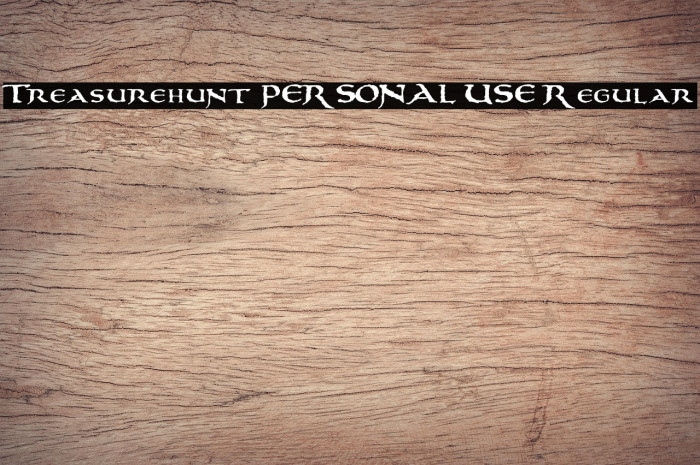 Treasurehunt PERSONAL USE Regular Example 3