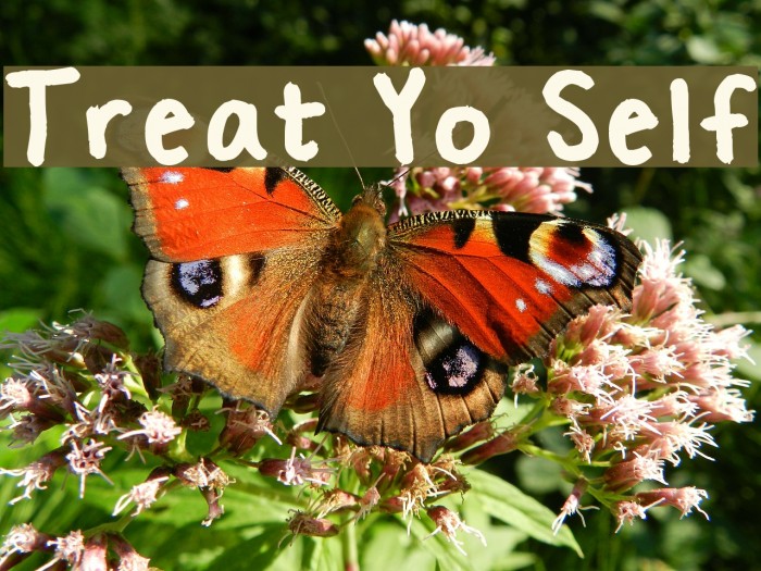 Treat Yo Self Font examples