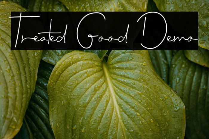 Treated Good Demo Example 3