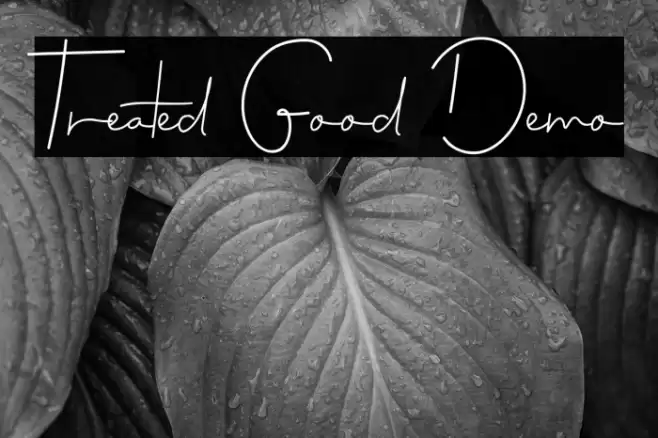 Treated Good Demo Font examples