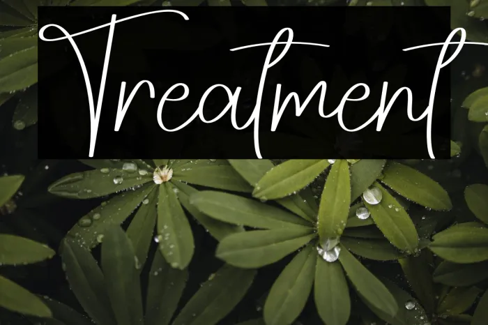 Treatment Example 1