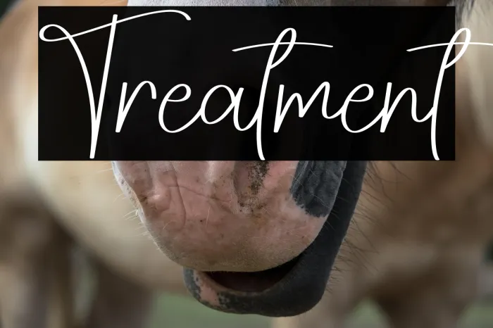 Treatment Example 2