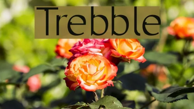 Trebble Example 1