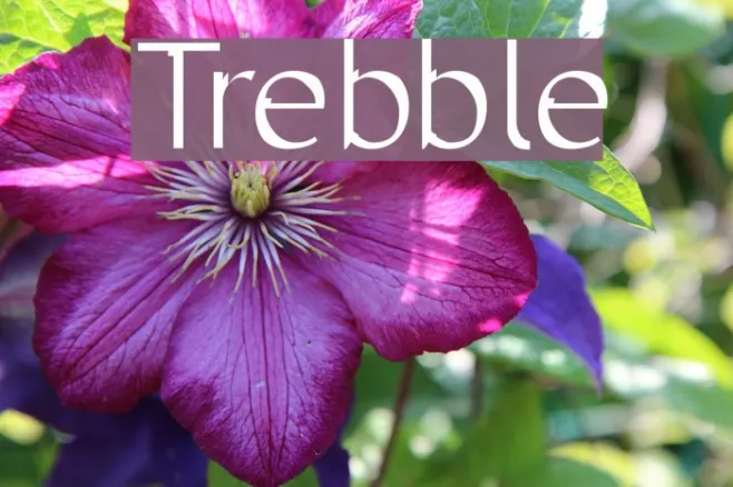 Trebble Example 3