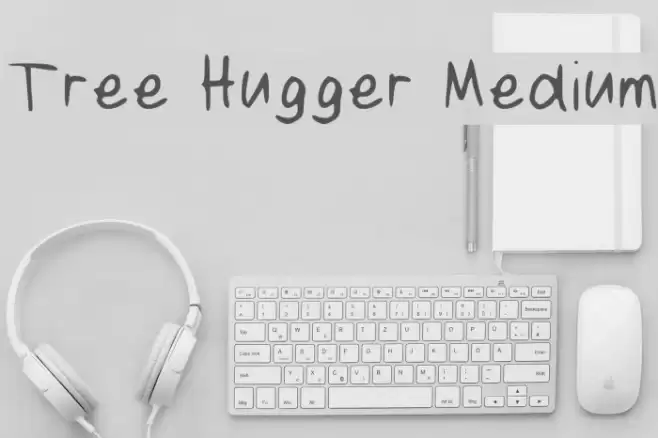 Tree Hugger Medium Font examples