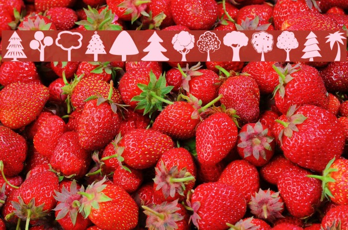 Tree Icons Font examples
