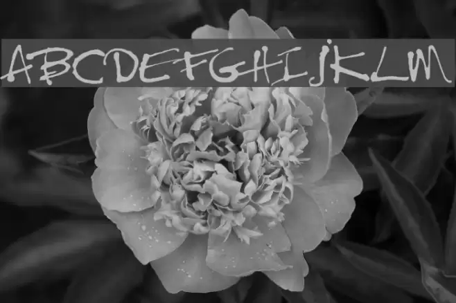 Treefrog Schriftart examples