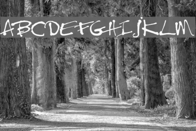 Treefrog Schriftart examples