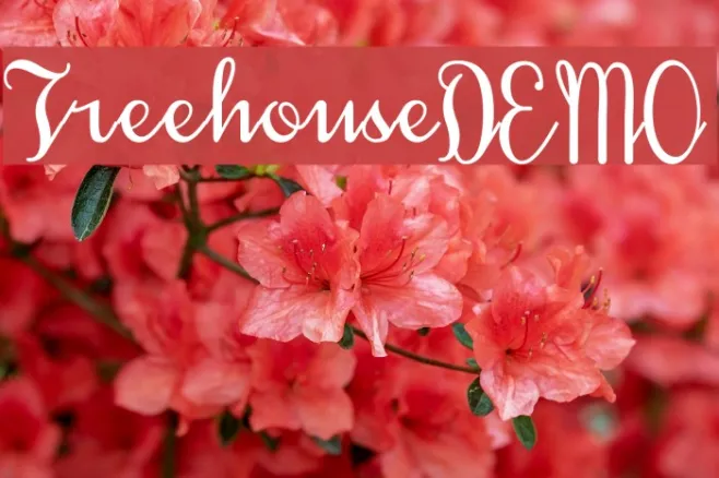 TreehouseDEMO Example 2