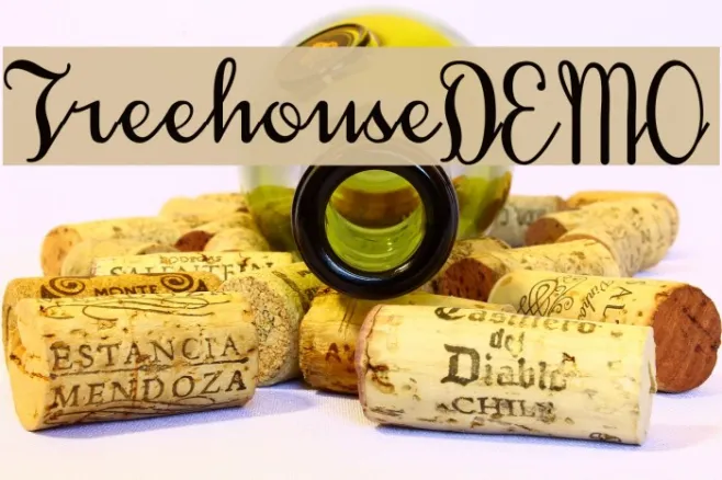 TreehouseDEMO Example 3
