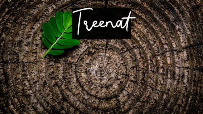 Treenat Example 1