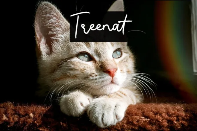 Treenat Example 3