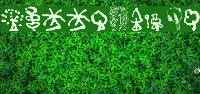 TreesAndCo Example 3