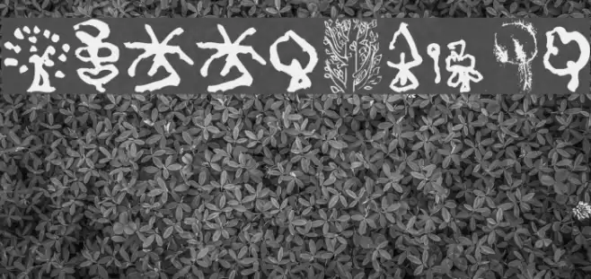 TreesAndCo Font examples