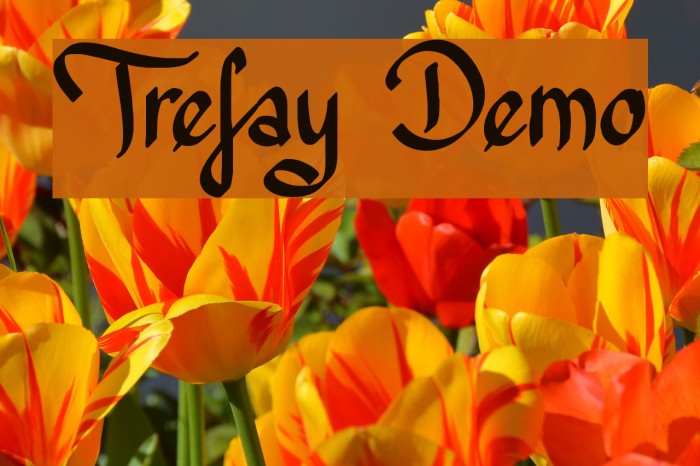 Trefay Demo Font examples