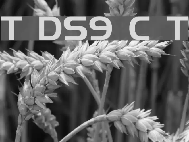 Trek DS9 Credits Text Font examples