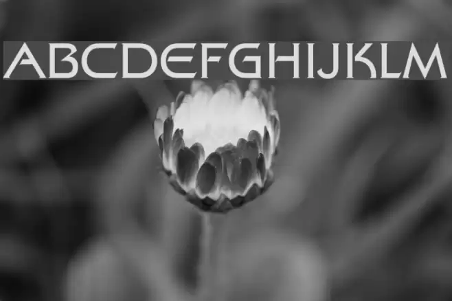 Trek Movie Font examples