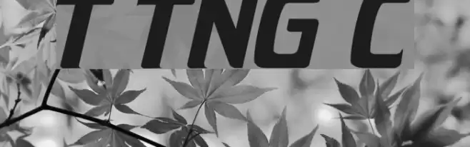 Trek TNG Credits Font examples