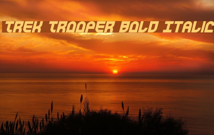 Trek Trooper Bold Italic Font examples