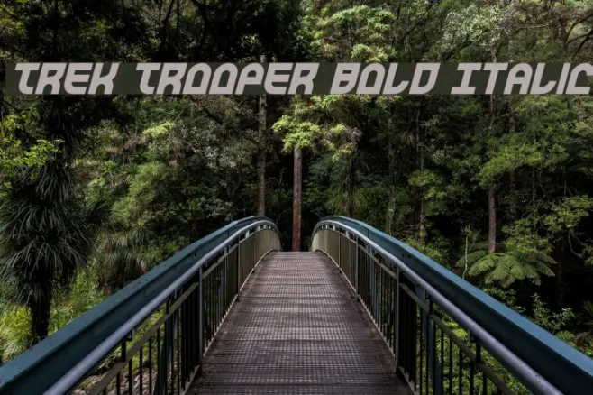 Trek Trooper Bold Italic Example 3