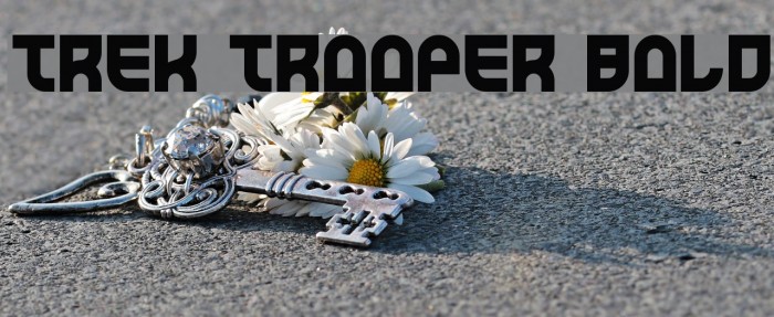 Trek Trooper Bold Font examples