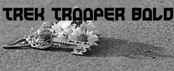 Trek Trooper Bold Caratteri examples