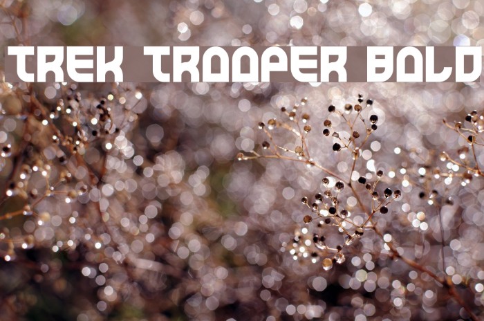 Trek Trooper Bold Font examples
