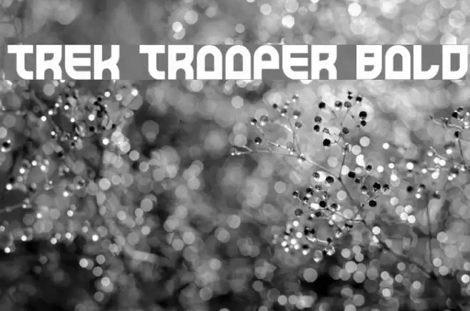 Trek Trooper Bold Caratteri examples