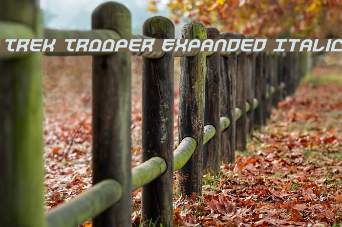 Trek Trooper Expanded Italic Polices examples