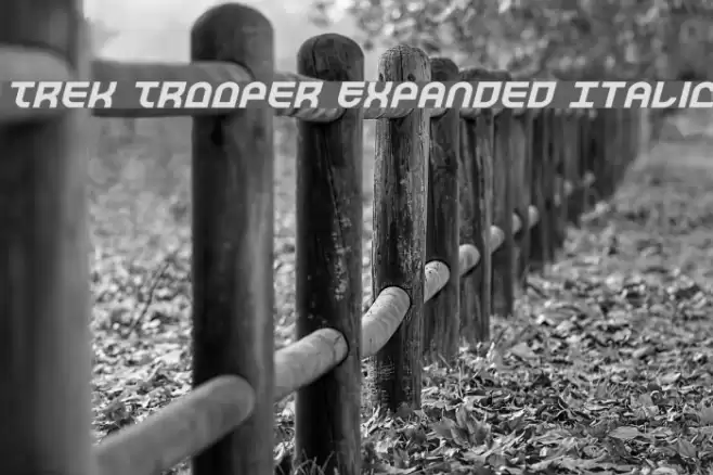 Trek Trooper Expanded Italic フォント examples