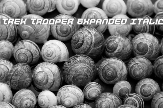 Trek Trooper Expanded Italic フォント examples