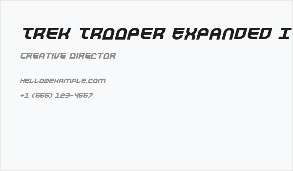 Trek Trooper Expanded Italic Business Card