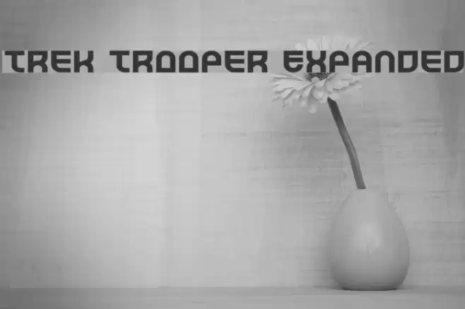 Trek Trooper Expanded Font examples